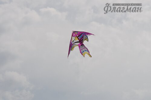 IMGP1257_r